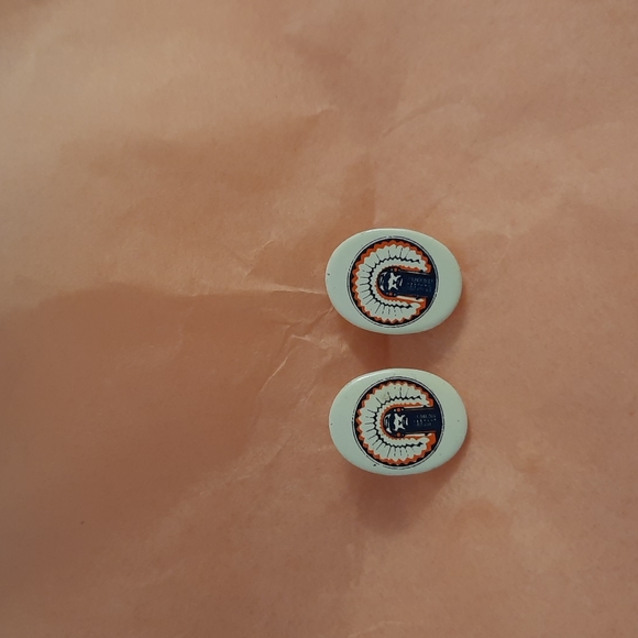 Jewelry - Illinois University earrings chief orange and blue